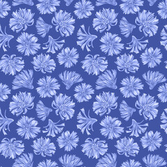 Seamless botanical pattern of chicory flowers, made in watercolor in digital processing. Hand drawing of a chicory plant with flowers and leaves. Print for fabric, holiday paper, clothing, cover
