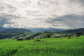 Fototapeta premium Beautiful scenery of Ban Pa Pong Piang,Mae Chaem,Chiang Mai province,Northern Thailand. Green Terraced Rice Field.