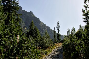 Path to the top of the mountain