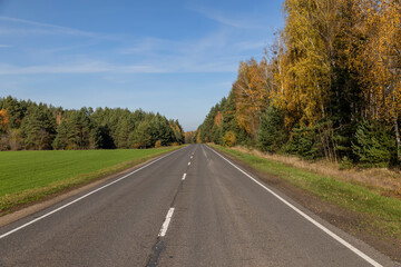 trees along the paved road for cars