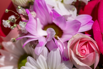 Obraz premium a beautiful bouquet combined with different flowers