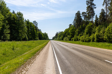 paved road with trees in the forest in sunny weather