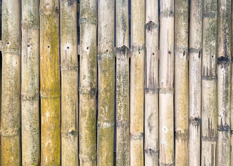 Old bamboo fence closeup for background