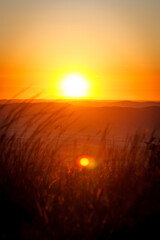 Sun over grass