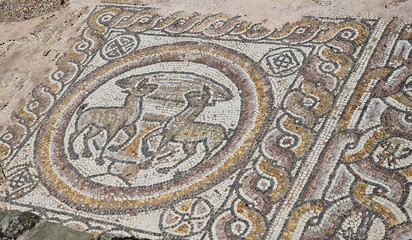Roman floor mosaic