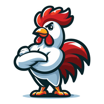 Chicken rooster muscle fighting sports mascot logo character cartoon illustration, vector design isolated on white background