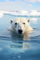 Fotobehang Polar bear at the North Pole © Guizal