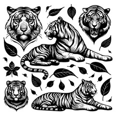 tiger animal line art set