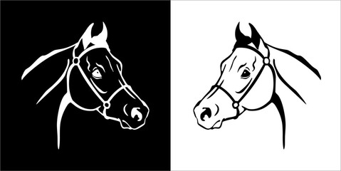 Illustration vector graphics of head horse icon