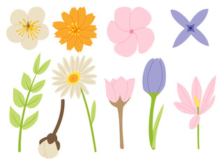 A Set of spring elements such as Cosmos, daisy, crocus, apple blossom, Frangipani, tulip, and others in a minimal shape floral concept, Vector