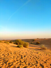 Desert landscape with traces of tyres and boots on the sand. Dubai desert. Nature background with copy space