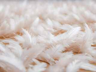 White feathers on a wooden background. Soft focus. Place for text.