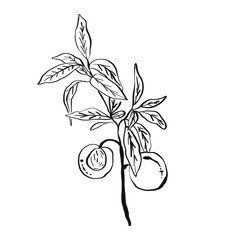Flower artline colorful images illustration images icons
