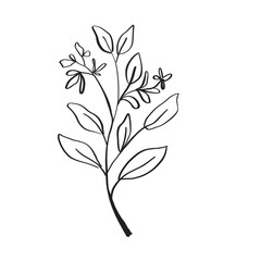 Flower artline colorful images illustration images icons