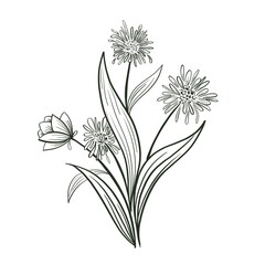 Flower artline colorful images illustration images icons