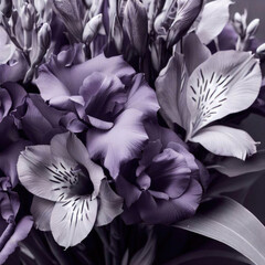 Black and white iris bouquet, purple bouquet, beautiful, flowers