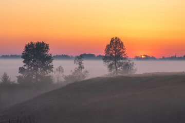 sunrise in the fog