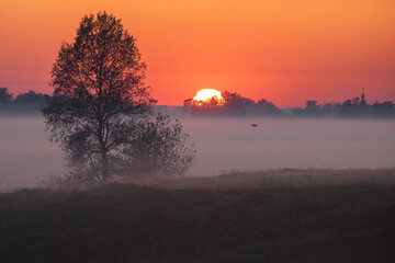 sunset over the meadow