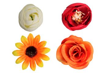 Set of different beautiful flowers on transparent background
