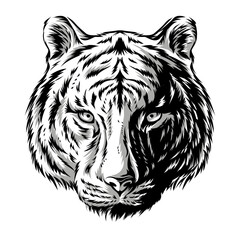 Tiger Head Handdrawn Illustration
