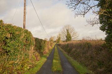 droga, Irlandia - obrazy, fototapety, plakaty