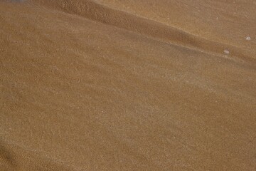 sandy beach texture background. clean sand for summer background. Seamless texture of wet sandy beach. sand pattern of a beach in summer morning. 
