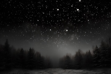 forest in the night, Beautiful bright stars with milky way in winter night. Black and white image ,...