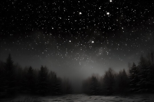 forest in the night, Beautiful bright stars with milky way in winter night. Black and white image , snowing in cold winter real snow falls on black background,Stars, fresh sky with star ,sad