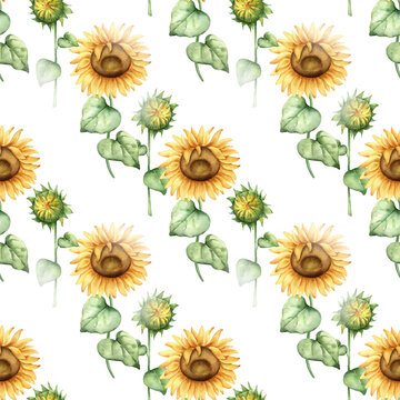 Floral seamless pattern with sunflowers and green leaves.