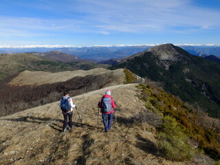 Fototapeta na wymiar Montagne de la Mare-Provence