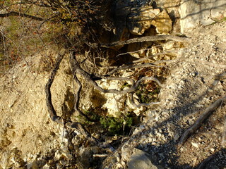 Montagne de la Mare-Provence