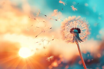Dandelion Dreamscape, Sunset Seeds Soaring, Wind-blown Wonders, Blooming Beauty in Blue Sky.