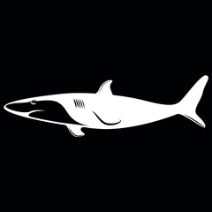 shark illustration vector file