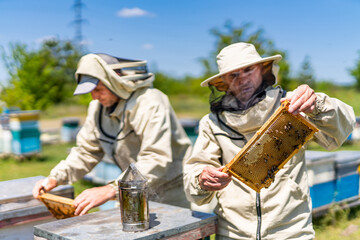 Two beekeepers are on spring checking of all details in their apiary.
