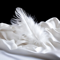 Fluffy white feathers on a white silk fabric.