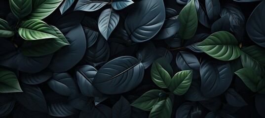 Dark tropical leaves texture background with copy space for nature concept - obrazy, fototapety, plakaty