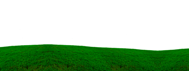 Realistic fresh green grass field isolated on a white background. nature landscape element