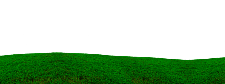 Realistic fresh green grass field isolated on a white background. nature landscape element