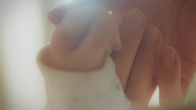 Close-up of a happy mother holding her child by the small hand. A young mother shows care and love by devoting all her time to her newborn child by holding her small gentle hands. Child care concept