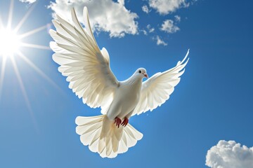a white dove flying through cloudy blue sky.