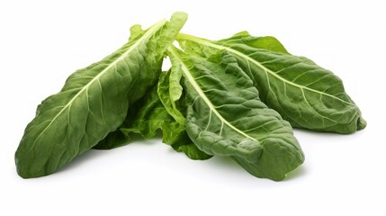 Three fresh, green collard greens captured in a close-up realistic photo against a white background Generative AI