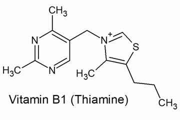 Structure of Vitamin B1 (Thiamine)