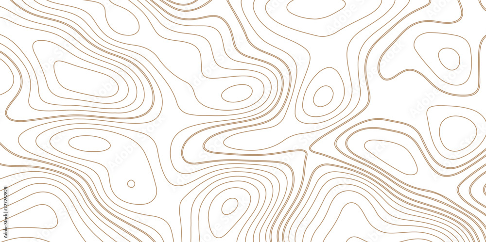 Poster background of the topographic map. topographic map lines, contour background. geographic abstract gr