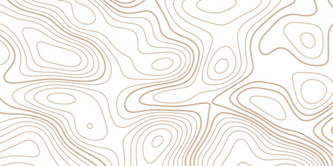 Background of the topographic map. Topographic map lines, contour background. Geographic abstract grid. vector illustration.