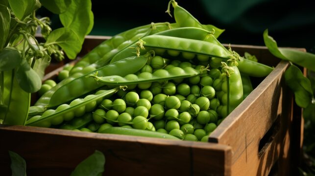 Close-up realistic photo featuring a box of freshly harvested green peas Generative AI