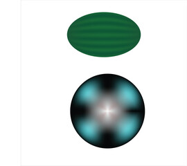 watermellon and vector