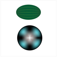 watermellon and vector design