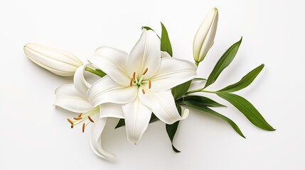 Present the freshness of an aerial view showcasing a single unblemished white lily in a clean and serene setting against a background of pure spotless clean white