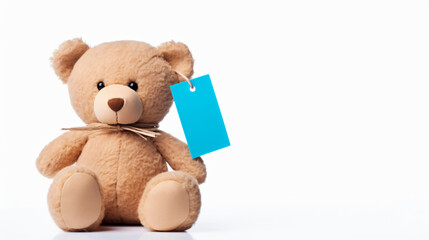 Teddy bear holding a blue label isolated on white background