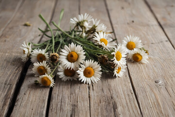 Concept photo of daisies on wooden table